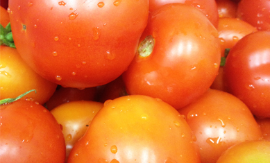 Hood burger paradajz